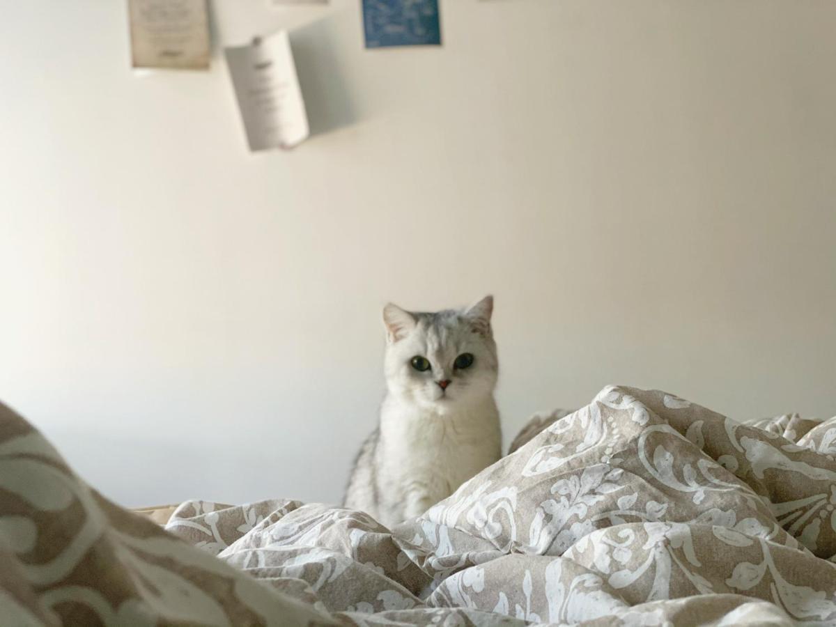 Zhe-Yi Boutique Guesthouse 베이징 외부 사진